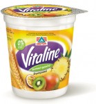 Vitaline yoghurt dessert  with pieces of Tropical Fruits-Cereals 0% fat, 380g